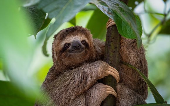 Le tappe del vostro itinerario 