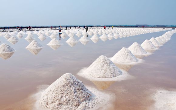 Visita alle saline (ingresso, tour e degustazione di tapas in un ristorante nel villaggio di Ses Salines inclusi)