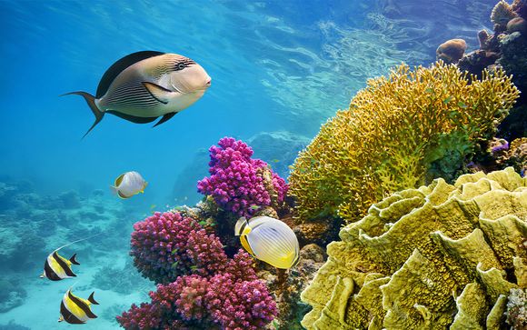 Le vostre escursioni incluse