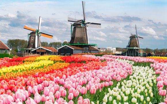 Visita guidata a piedi alla scoperta dei segreti del centro storico di Amsterdam