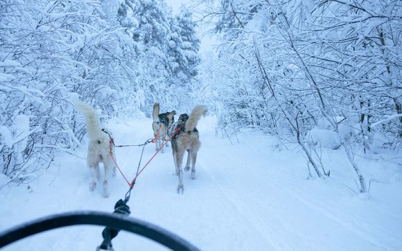 Alla scoperta della Finlandia 