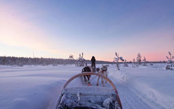 Esperienza con gli husky (5-6 km, durata 1 ora) - inclusa durante il vostro soggiorno