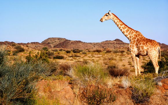 Alla scoperta del Sudafrica
