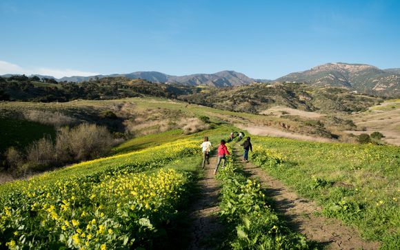 Benvenuti in California!