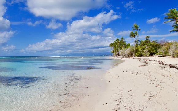 Alla scoperta dei Caraibi