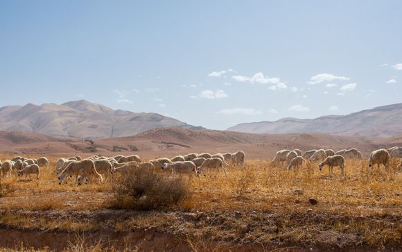 Le tappe del vostro itinerario