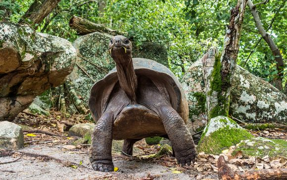 Le tappe del vostro itinerario