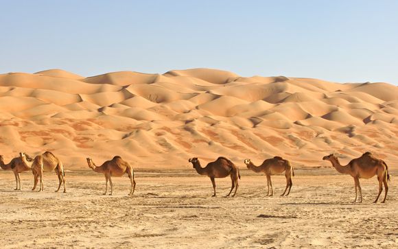 Le tappe del vostro itinerario