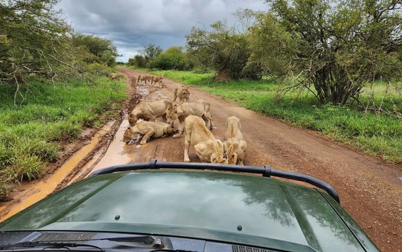 Safari di 7 notti
