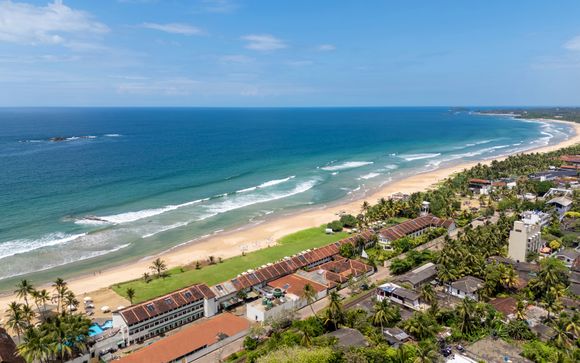 EKHO Surf 4*