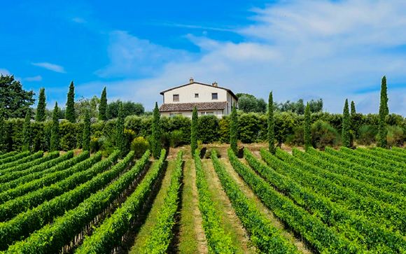 Le Buche Wine Resort & Spa
