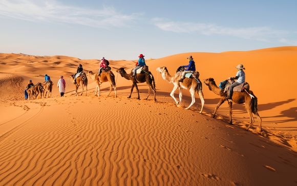 Tour nel deserto alla scoperta di dune e oasi