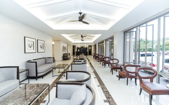 Il Sugar Marina Art 