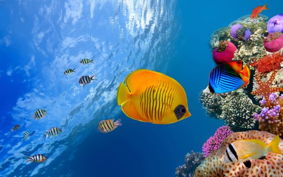 Alla scoperta di Sharm El Sheikh
