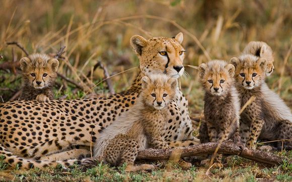 Afrika Pearl And Spa 4* & Safari