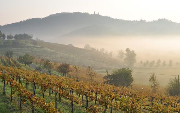 Alla scoperta del Monferrato
