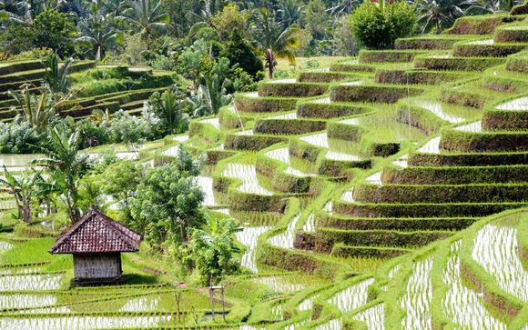 Itinerario 1 - Meravigliosa Bali