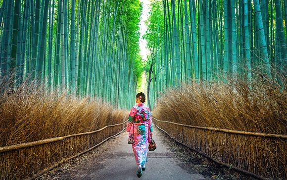 Alla scoperta del Giappone tra atmosfere zen e tradizione