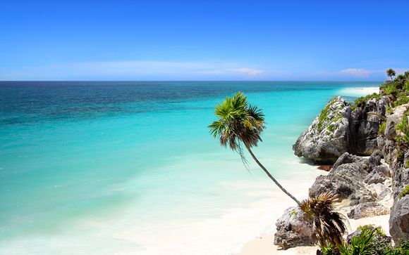 Viva Wyndham Maya 4*