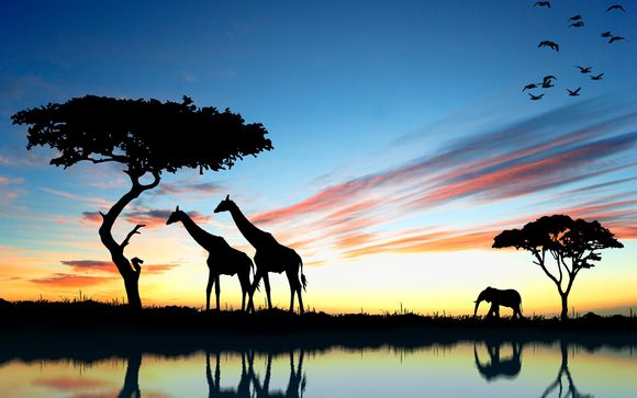 Pinewood Beach Resort and Spa 4* & Safari