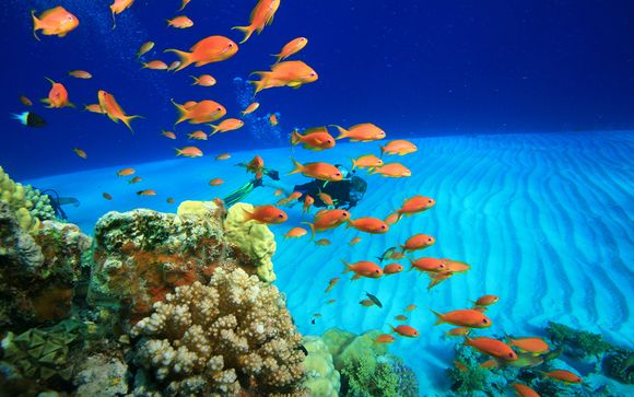 Alla scoperta di Marsa Alam