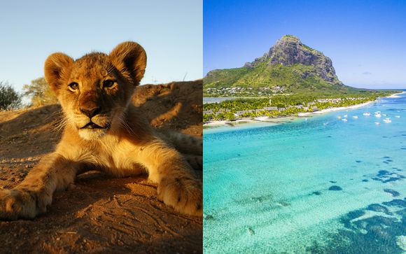 Circuito Big Five in Sudafrica & SeaSense Boutique Hotel Mauritius 5*