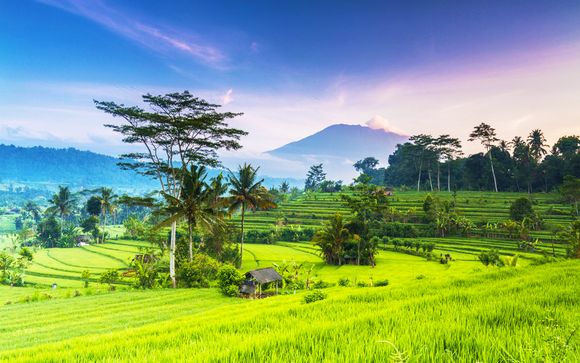 SenS Hotel & Spa Ubud 4* + Artotel Sanur 4* + Anja Jimbaran 4*
