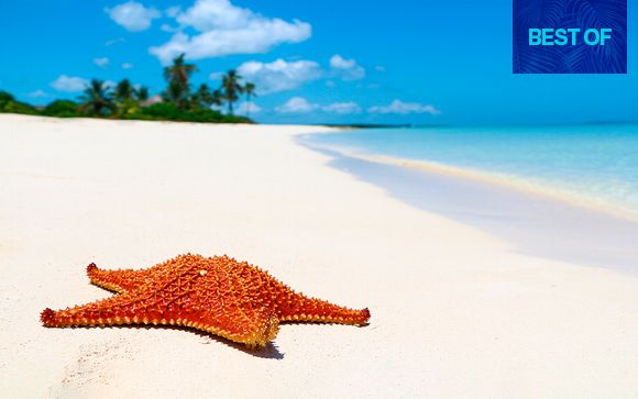 Dalle strade dell'Avana alle spiagge dei Caraibi in 5*