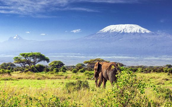 Alla scoperta del Kenya