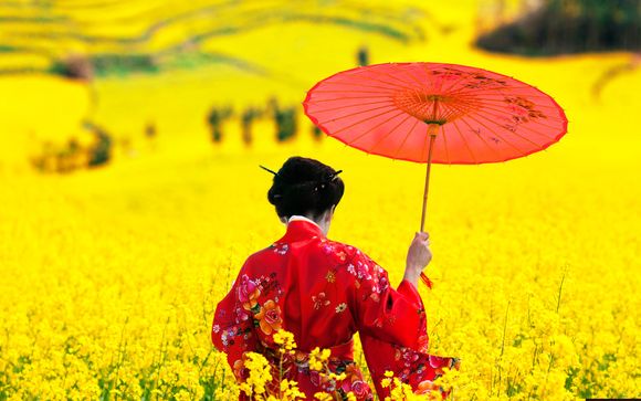 Tradizioni e città del paese dei fiori di ciliegio