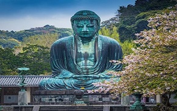 Escursioni e esperienze a Tokyo