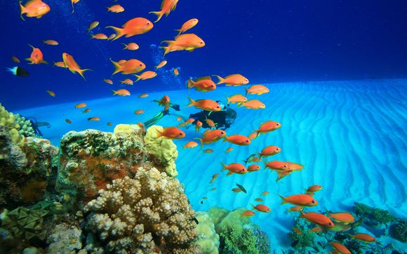 Alla scoperta di Sharm El Sheikh