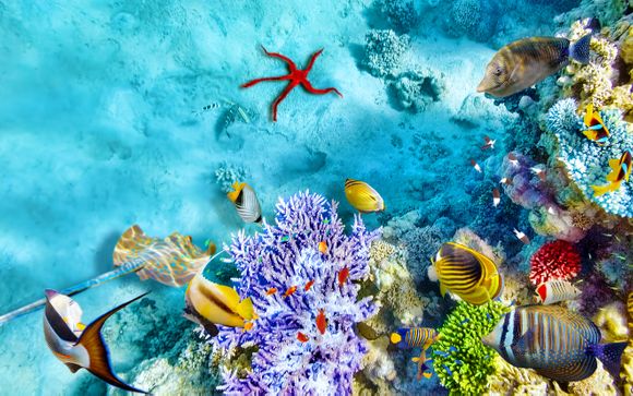 Alla scoperta del fiume Nilo e di Hurghada