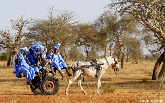 Alla scoperta del Senegal