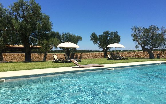 Antica masseria fra ulivi e vigneti