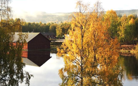 Stoccolma e Ockelbo immersi nella natura della Svezia