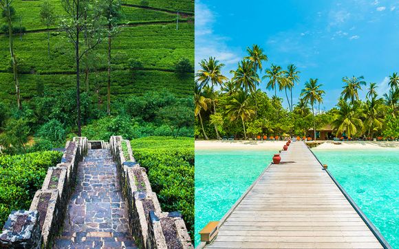 Tour privato Sri Lanka 5* + Royal Island Maldives 5*