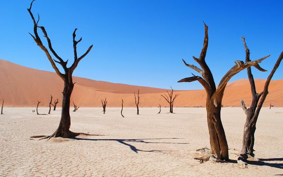 Fly& drive alla scoperta della Namibia