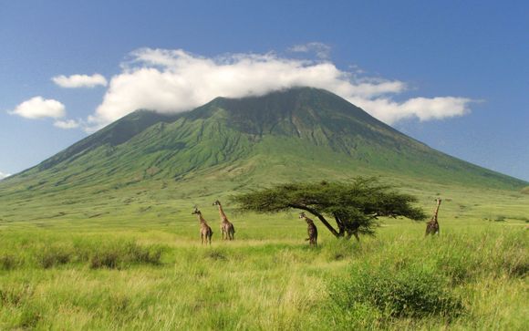 Safari a Selous