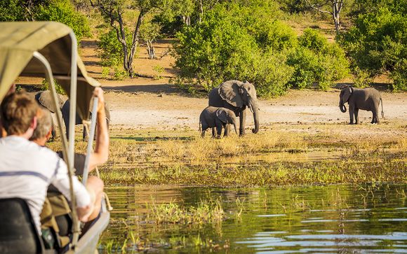 Alla scoperta del Botswana