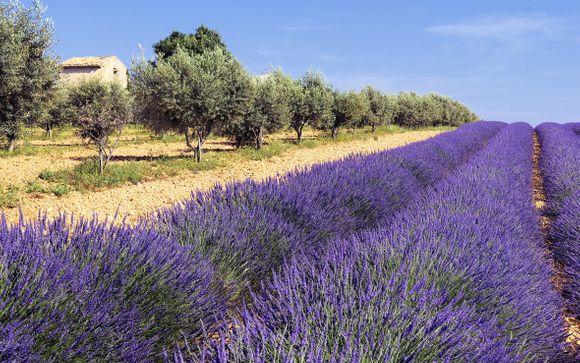 Alla scoperta della Provenza