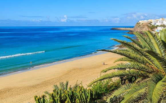 Alla scoperta di Fuerteventura