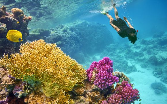 Alla scoperta di Marsa Alam