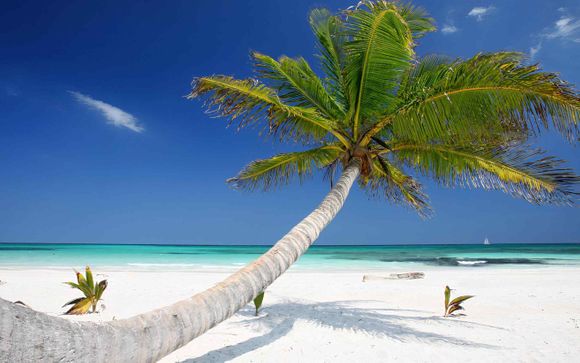 Welkom in... Mexico!