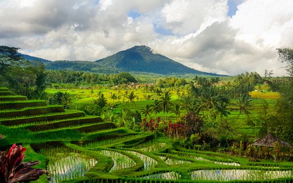 Welkom in... Singapore & Indonesië!