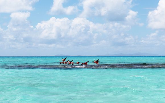 Je optionele excursie