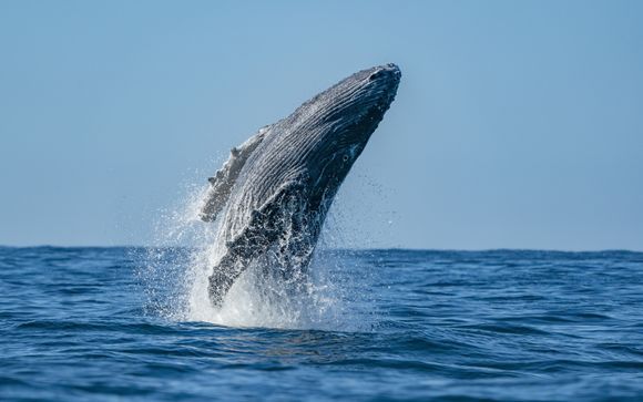 Je optionele excursies