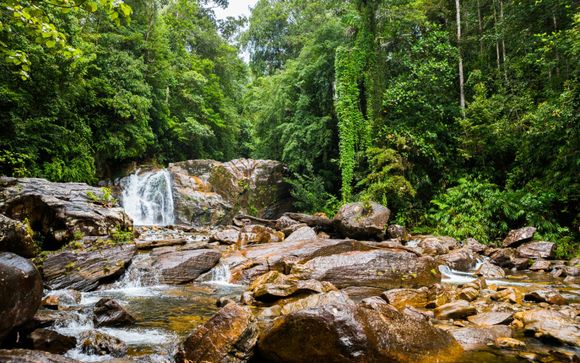 Kies voor een extra optie 