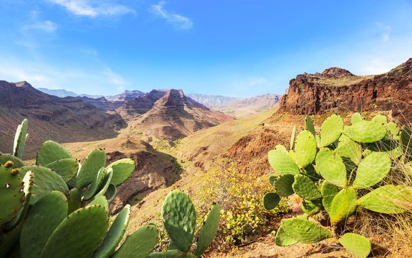 Welkom op ... Gran Canaria!