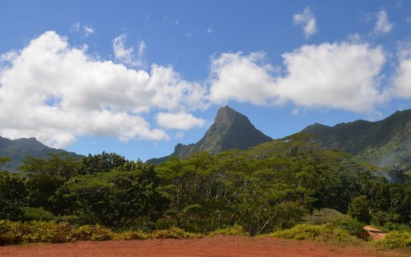 Kies voor een extra optie 